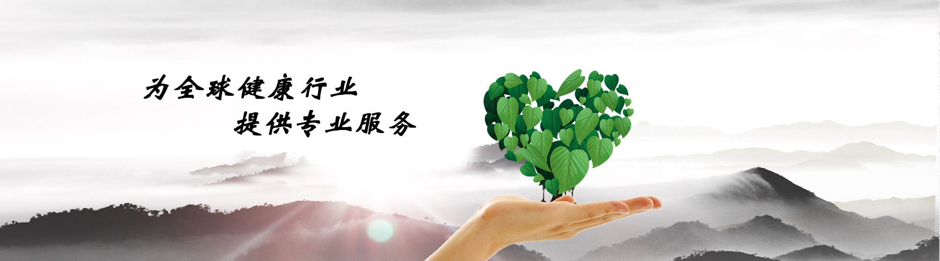 Ϊȫ�򽡿���ҵ�ṩרҵ����